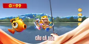Câu cá ACE